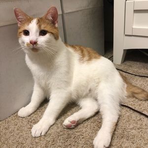 Meet your Posher, Ellie